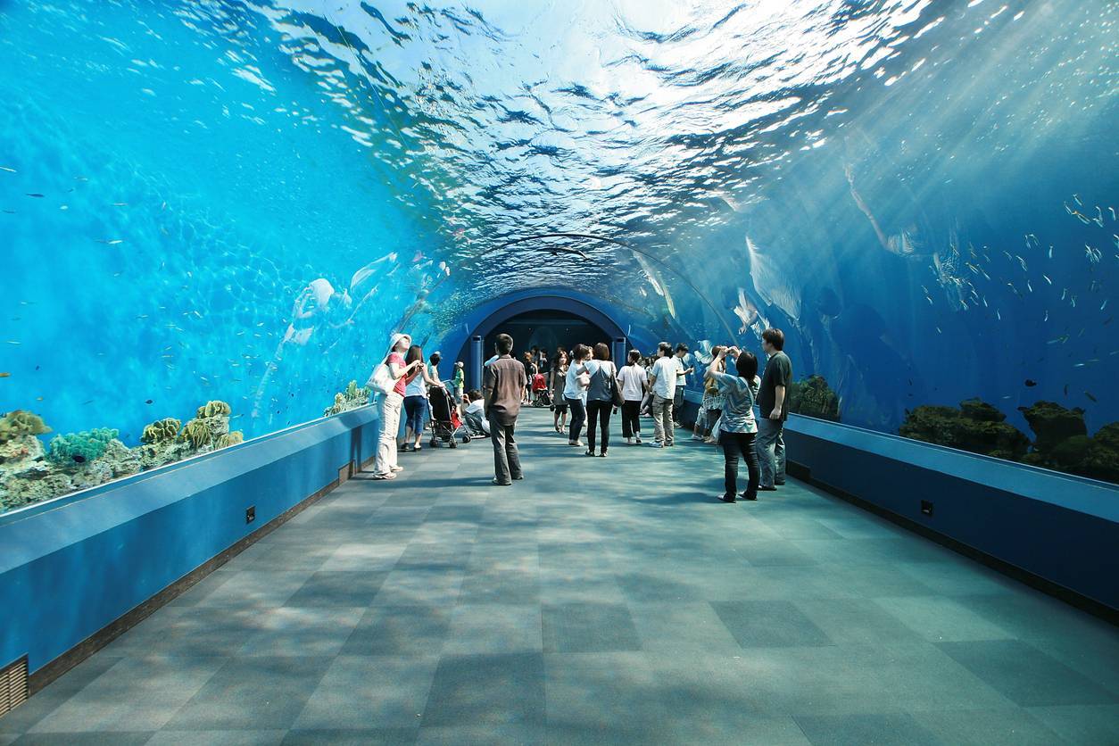 soirée d'entreprise dans un aquarium