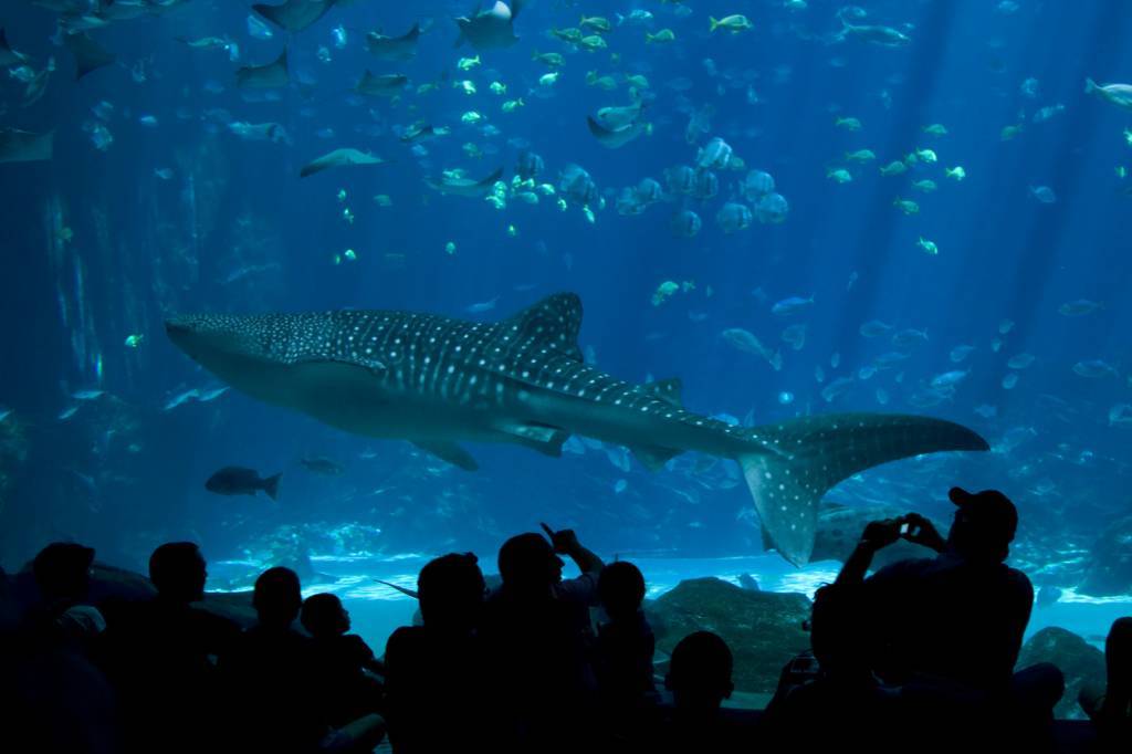 évènement d'entreprise dans un aquarium